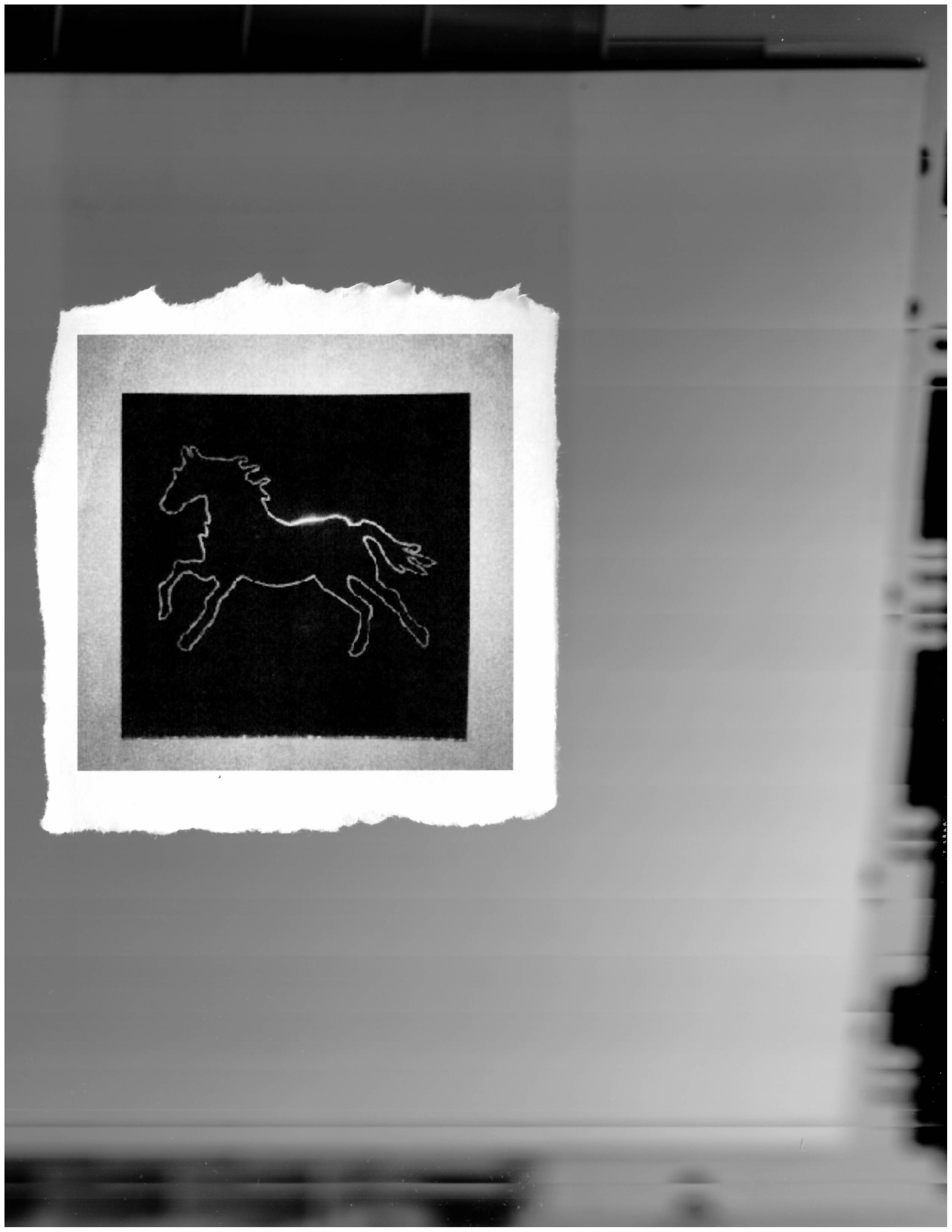 blurry silhouette of a horse